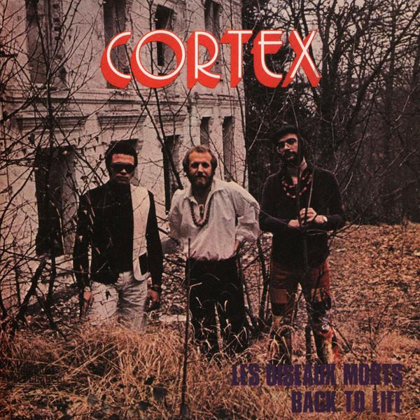 

7inch Record CORTEX - Les Oiseaux Morts TV017 Trad Vibe 2020 France Jazz