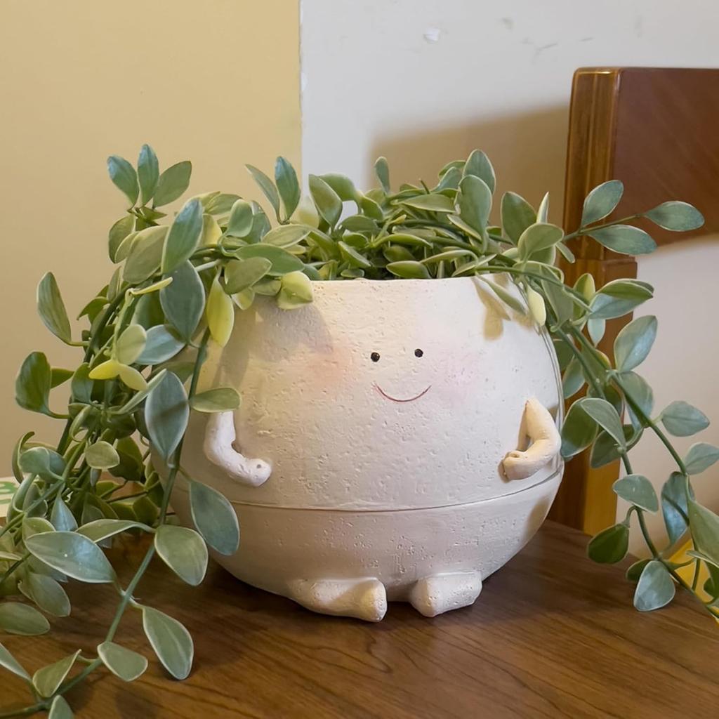 Self Watering Plant Pot 4 Inch Cute Smile Face Planter Pot for Indoor Outdoor Plants with Drainage Hole Unique Flower Pots for