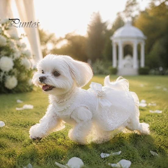 Küçük Evcil Hayvanlar İçin Yumuşak Kumaş Elbiseler Köpek Dantel File Kabarık Elbise, Fiyonklu ve Taşlı Sevimli Prenses Elbisesi, Sevimli Fiyonklu Köpekler Zarif Evcil Hayvan