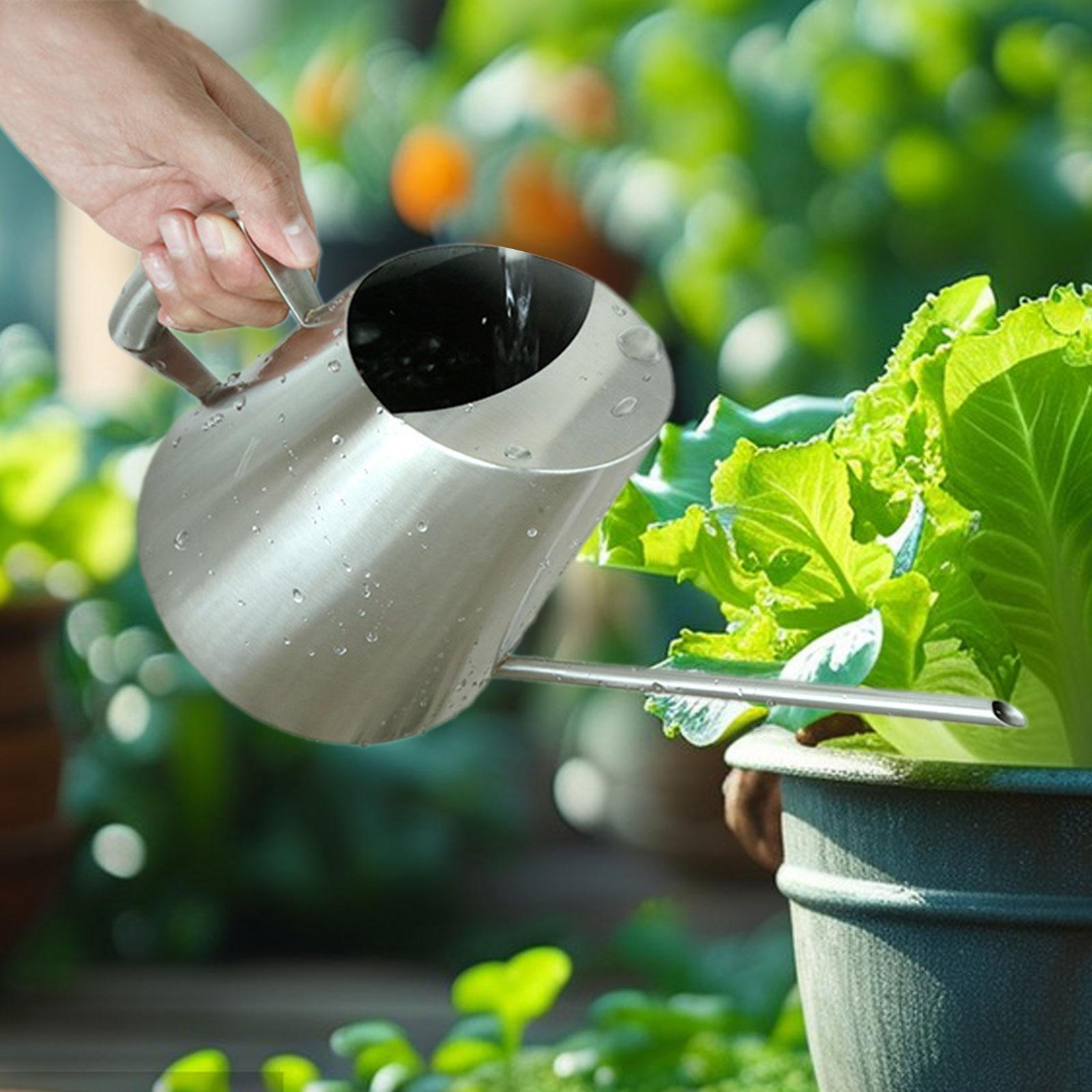 

Portable Watering Can with Fine Tip And Long Mouth for Flowers, Home, Garden, Indoor Outdoor 400ML