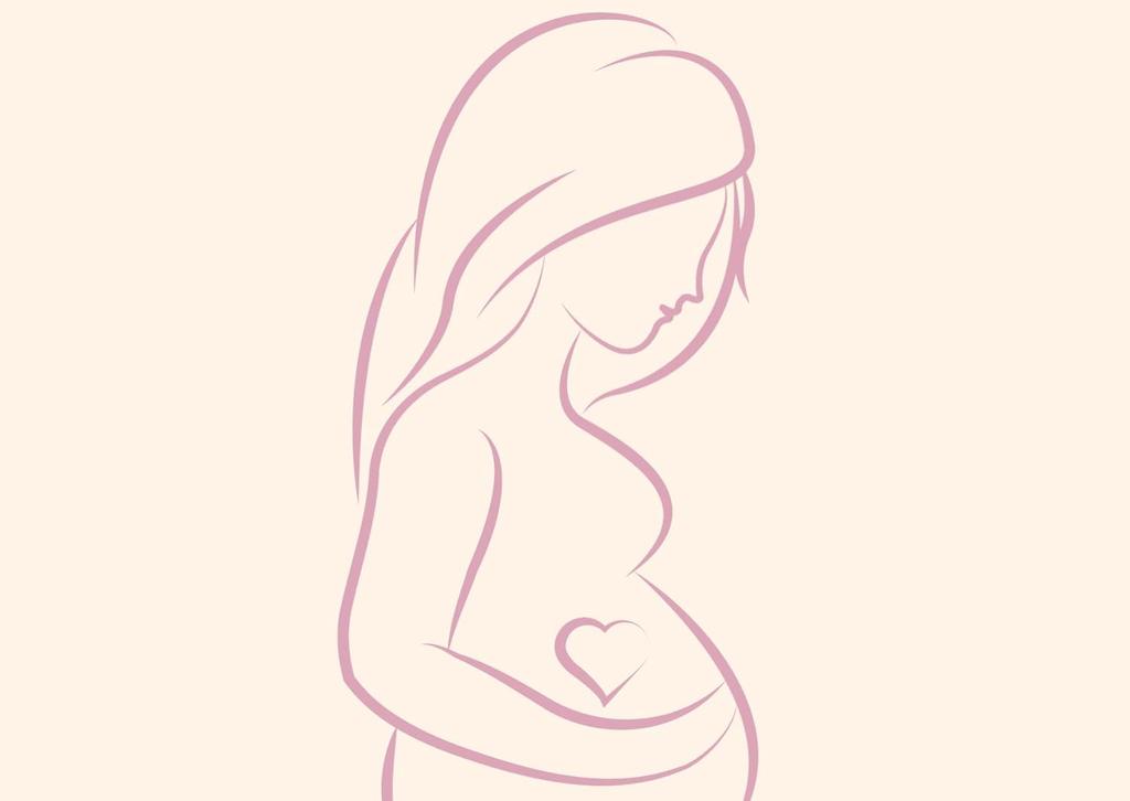 Rose of Jericho 200g – Chajarat Mariam Natural Resurrection Plant – Fertility, Conception & Prosperity – Energy Cleansing Flower