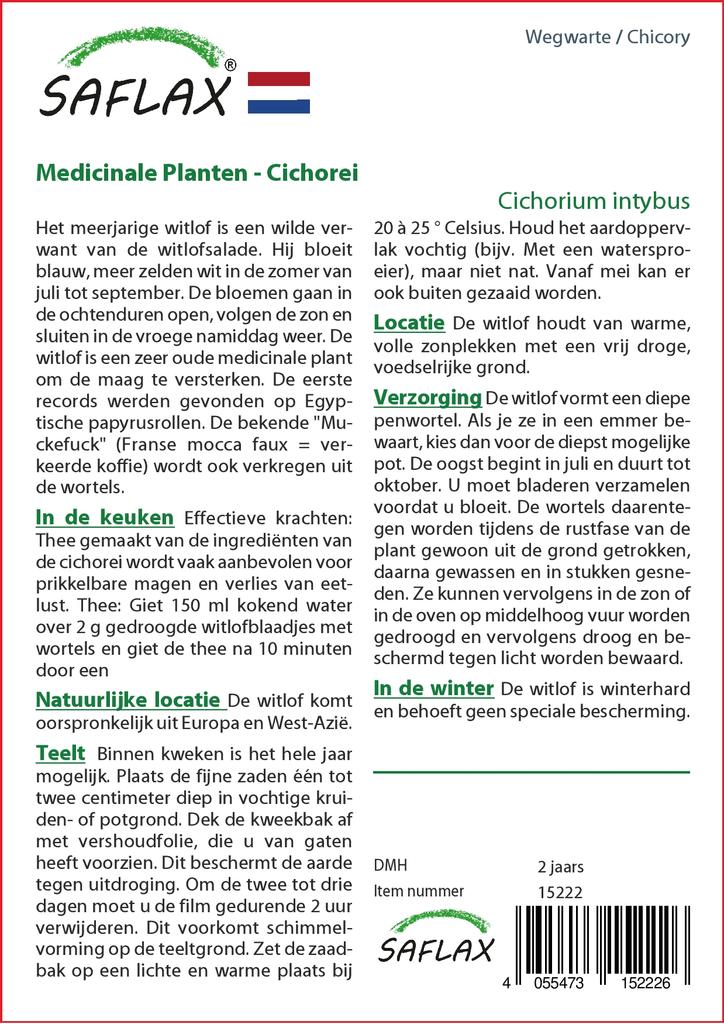 SAFLAX Garden In the Bag - Chicory  - 250 Seeds - With Substrate In a Fitting Stand Up Bag - Cichorium Intybus