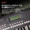 Roland Roland Electronic Keyboard, E-X10 Arranger Keyboard, Easy Operation, 61 Keys, Automatic Ac...