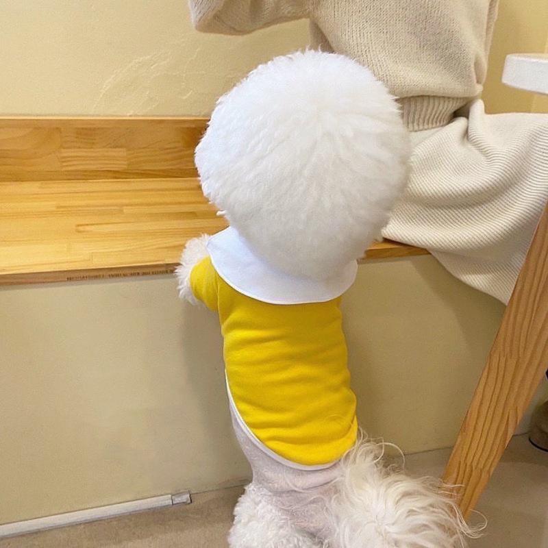 Bixin Herbst/Winter 2023 Kleidung für kleine Hunde und Katzen, Welpenbekleidung für Bichon, Teddy, Zwergspitz