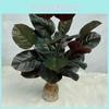Simulated Ficus Elastica Plants Hotel Parks Artificial Landscapes Ornament Room
