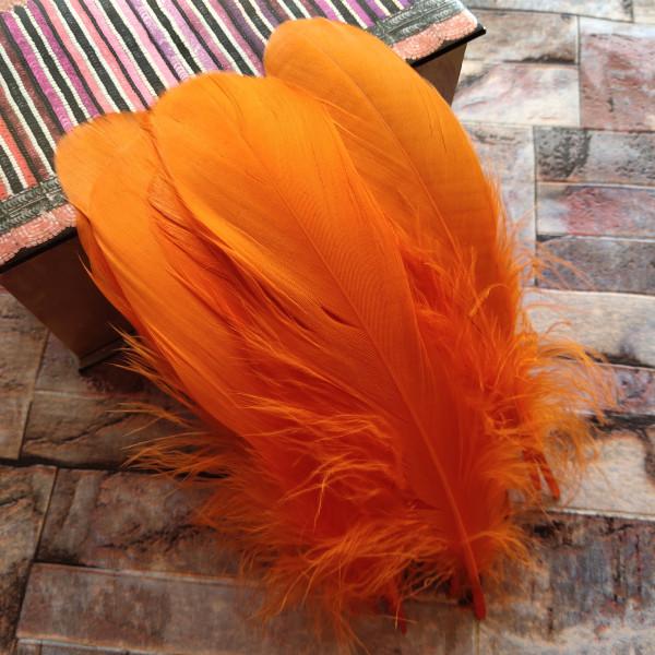 20pcs Natural Goose Feathers 31 Color Loose Goose Feathers 12-20cm Long Christmas Decoration Clothing Shoes Hat Accessories