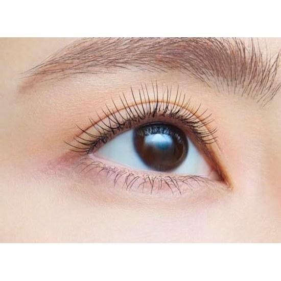Dejavu Dejaview Apply Eyelashes Long Type Fiber Wig Ultra E 1 Black Mascara Film Wash Off