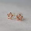 RookieStar 14k Mini Star Earrings R1rreg003