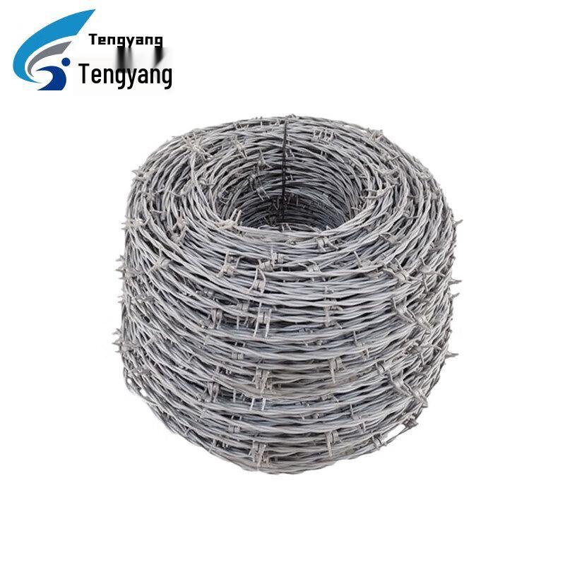 Tengyang Simulated Razor Wire Section