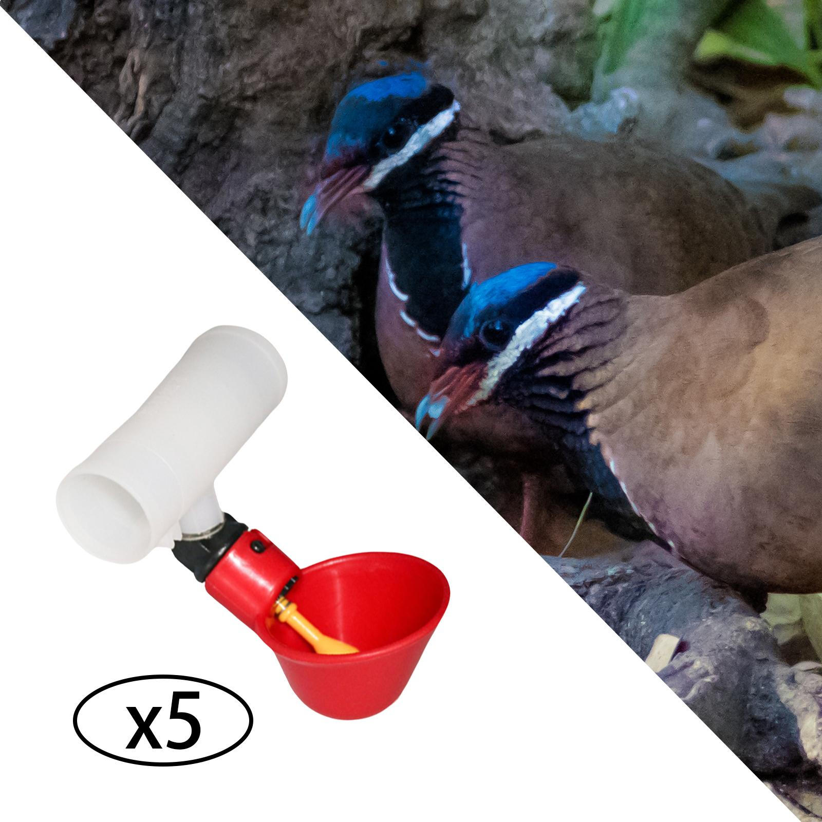5 Pieces Chicken Water Cups, Watering Cup, Feeder, Automatic Waterer Poultry 6.6x10cm