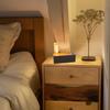 Press Lever Ejection Night Light Atmosphere Light Edison Bulb Relieve Stress Lamp Filament Magnetic Ambient Light Home Decor
