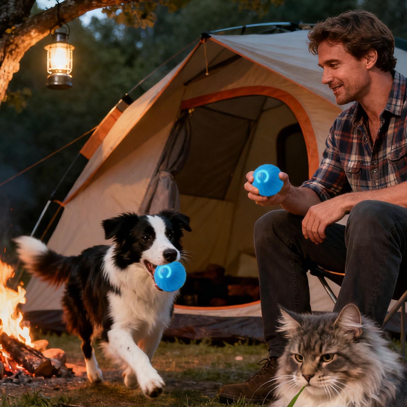 

Interactive Dog Toys Type-c Rechargeable Smart Automatic Pet Games With LED Light Small Dog Toys For Indoor Outdoor Play China Mainland