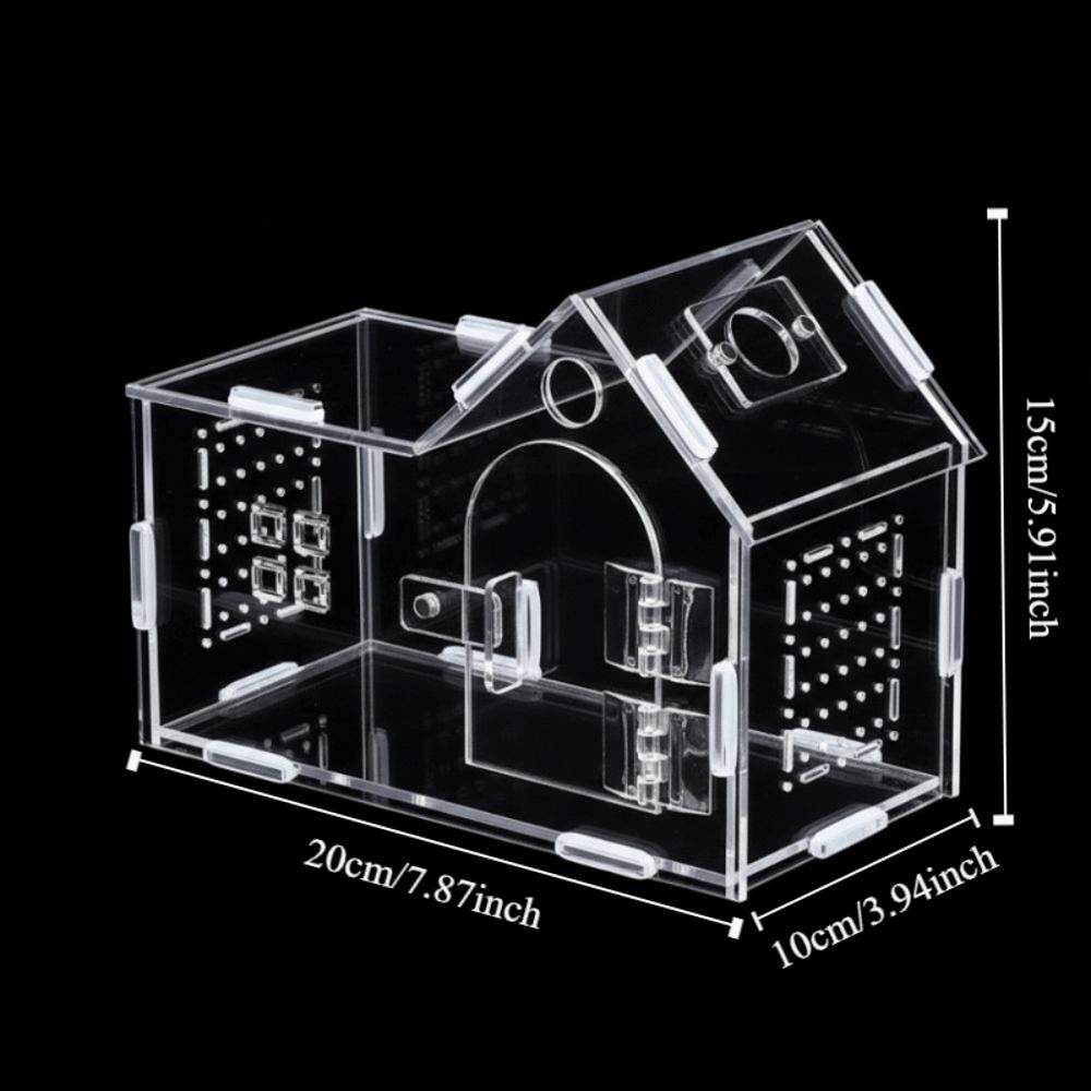 Acrylic Reptile Feeding Box Magnetic Reptile Habitat Box Pet Breeding Container  Breeding