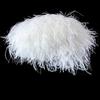 FeatherHigh Quality Ostrich Feather Trim Fringe Natural Ostrich Feather Ribbon Trimming for Party Dress Sewing Wedding Accessories 1 M