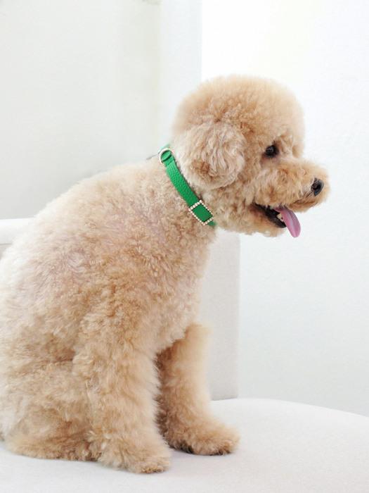 

MAISON DE MIU Square Pearl Necklace Green GREEN