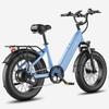 Electric Bicycle Fafrees F20 Rover 20" 250W Motor 48V 20AH Dual Hydraulic Disc Brakes Top Speed 25km/h LCD Display 7 Speed Max Load 150Kg