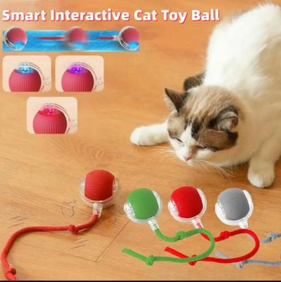 Katzen – Katzenspielzeug