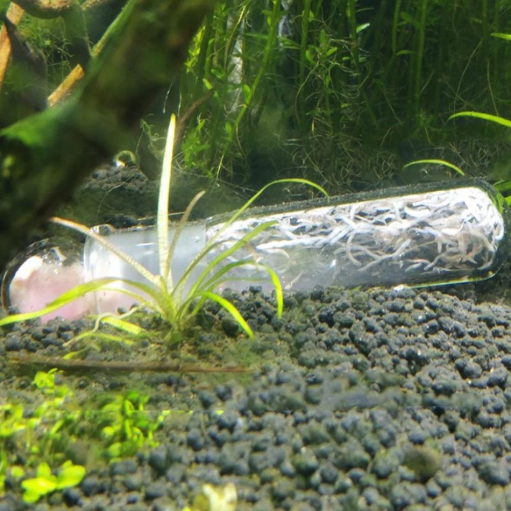 Dwarf Shrimp Clear Aquatic Cleaner Pest Catch Trap Planaria Trap Aquarium Worm Trap Leech Catcher