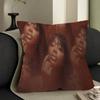 SZA Pop Singer Pillow Anime Pillow Sofa Bed Head Pillow Cover Cushion Cover 45x45 cm Fashion