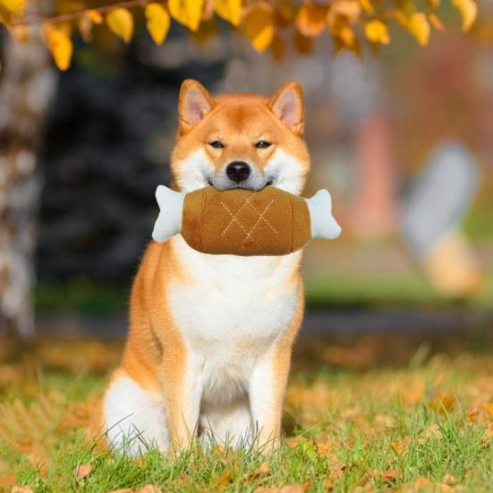 Yousheng Interactive Plush Dog Toy Chicken Leg Design Built-in Sound Bite Resistant Teeth Grinding Relieve Boredom Squeaky Dog Toy