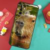 Étui Animal Capybara Pour Samsung Galaxy A17 A55 A35 A15 A32 A52 A13 A33 A53 A14 A34 A54 A06 A16 A26 A36 A56