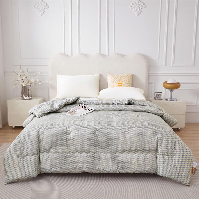 Donald Home Anti-Mite All-Season Quilt