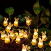 Easter Carrot Bunny & Chicken LED Copper Wire Decorative String Lights