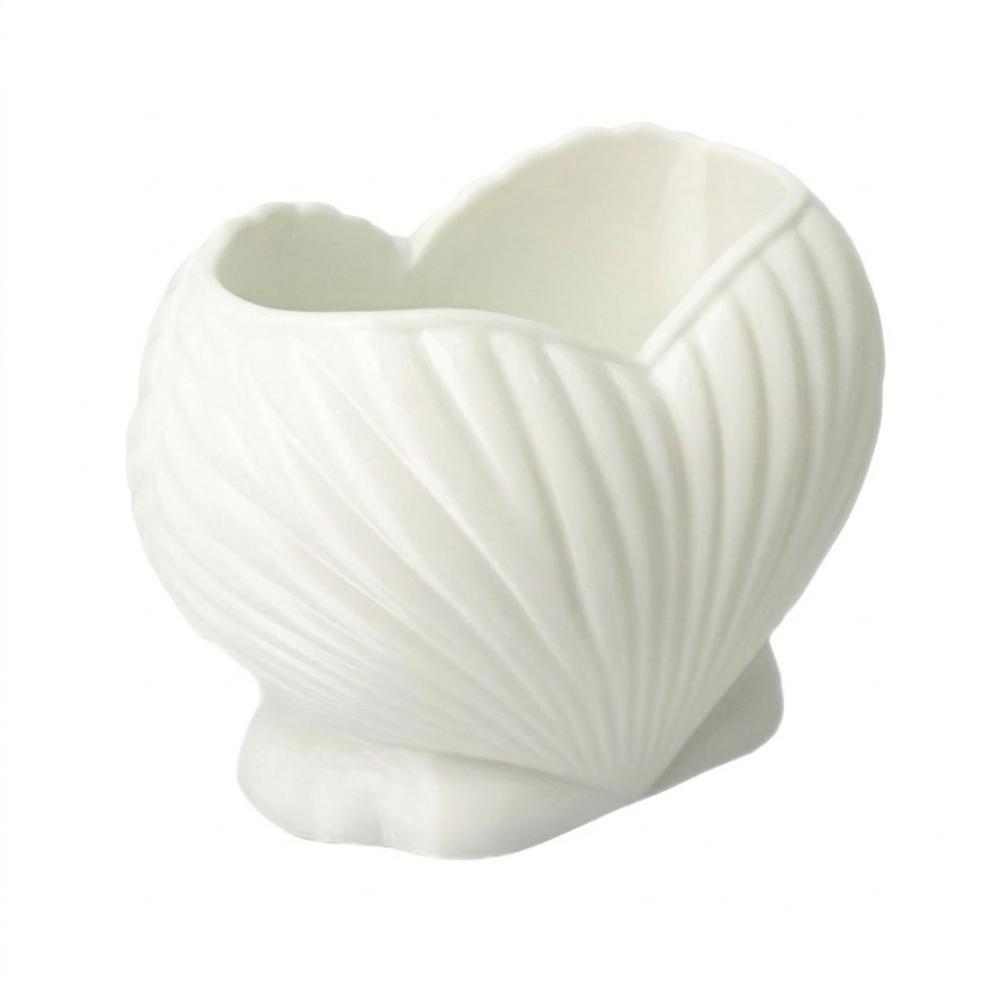 Coastal Style Shell Shape Toothpaste Toothbrush Holder Aesthetic Pen Storage Holder Desk Use