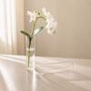 6/12PCS plastic cylindrical vases, high transparency vase set, suitable for simple desktop flower arrangement decoration