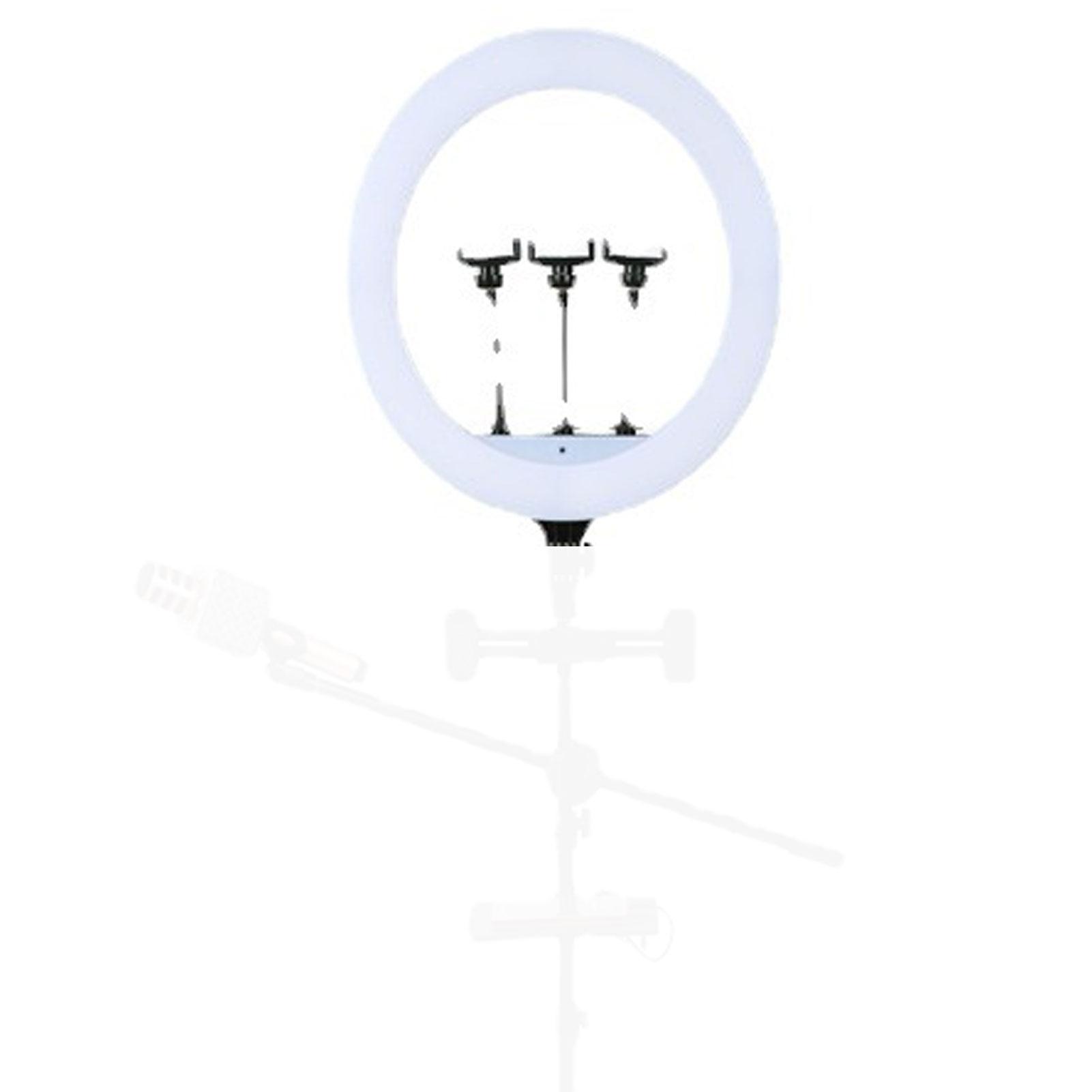 

45 cm (18 inch) two- LED light, studio continuous light for photography and video conferencing