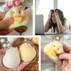 Squishy Hamster Toy with Cheese Cute Desktop Decor Funny Stress Reliever Decompression Fidget Toys for Teens Kids Gifts