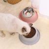 Pet Dishes Bowls with Stand for Kitten Small Dogs Food & Water Bowl 3 Options Tilted Elevated Bowl Protect Pet's Spine
