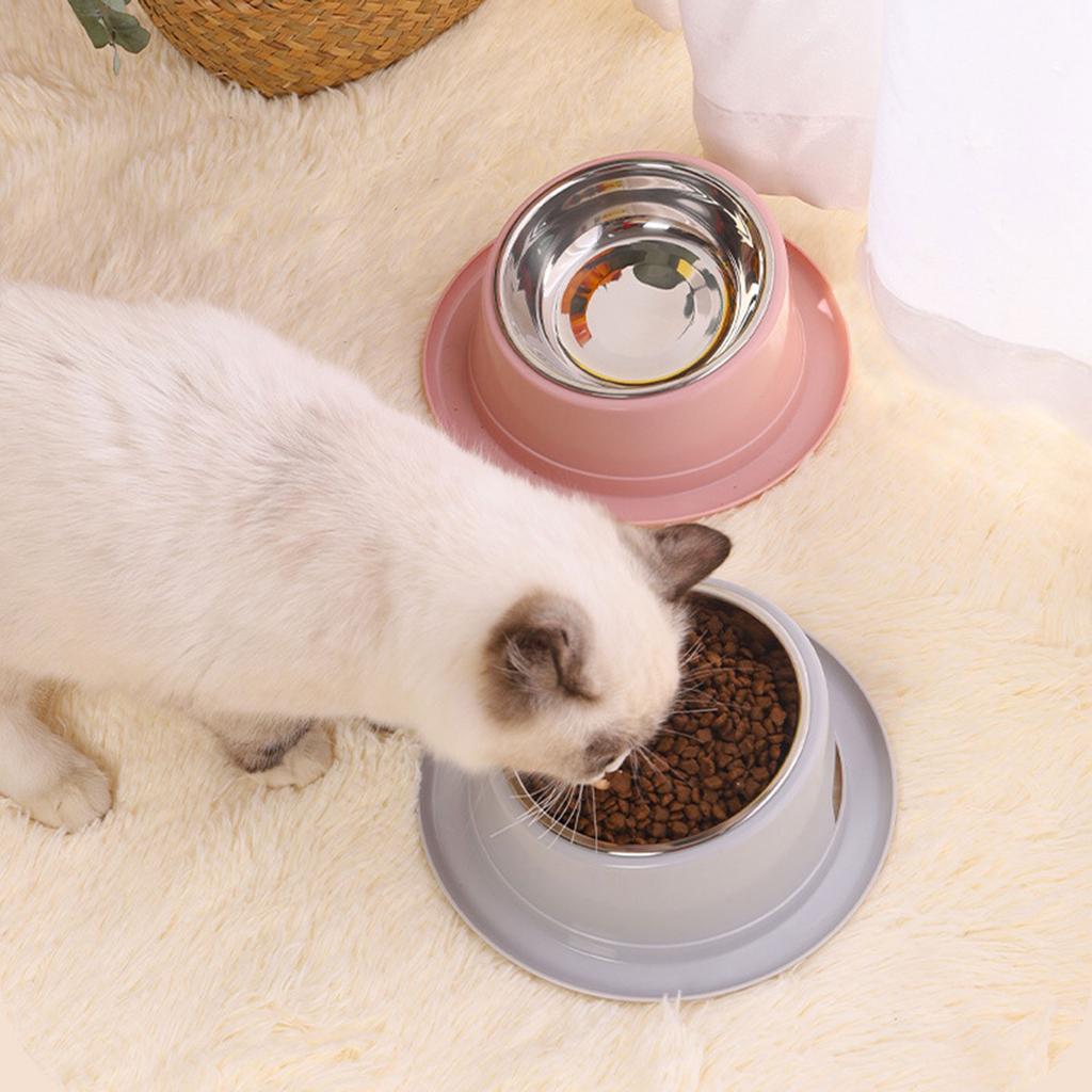Pet Dishes Bowls with Stand for Kitten Small Dogs Food & Water Bowl 3 Options Tilted Elevated Bowl Protect Pet's Spine