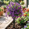 Realistic Fake Flower Stake Artificial Violet Topiary Trees with Spike UV Resistant Faux Shrubs No Watering Shrub Bushes Spring Summer Plants