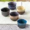 ORANGE APRON Ceramic Sake Set Made In Perfect Gift for Sake and Choko 5-Piece (Mino Ware) - Japan, Five-Glazed, Boxed, Sake, Glasses, (Choko).