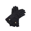 Senior Sense Sweet Cool Wind Padded Gloves Female Winter Warm Outdoor Riding Windproof Waterproof Gloves