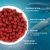 NEW Wet Granular Bait High Protein Fish Attractant Concentrated Fish Bait Universal Fishy Smell Bait Balls Fishing Accessories