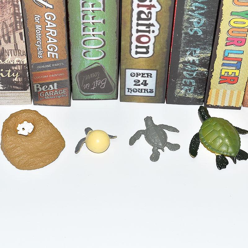 Montessori Plant & Animal Life Cycle Educational Toy Set for Early Learning