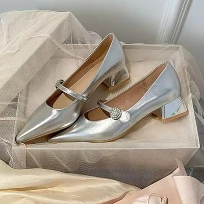 Chaussures pointues pour femmes Printemps Nouvelles Chaussures argentées Chaussures confortables à talons bas Robe Escarpins simples et polyvalents pour femmes