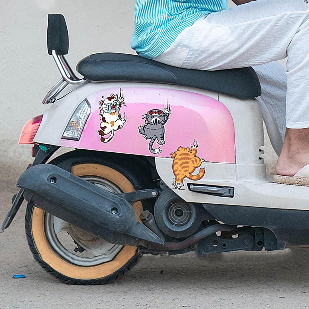 Gevrkjenp Kattbilklistermärken och Dekaler, KattbilDekaler, Kattklistermärken för Vista Bil