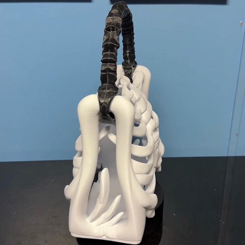 3D Tištěná Taška Kosti Kostry Gotická Peněženka Kostry Strašidelná Realistická Kabelka Hrudního Koše Funkční Kapsa Halloweenská Párty s Tematikou