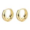 Earrings Hoop Earrings Leave-on Surgical Stainless Steel Women's Gold Simple Popular 925 Silver Ring Small Extra Small