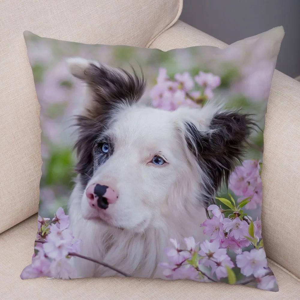 Cute Pet Animal  Cushion Cover Scotland Border Collie Pillowcase for Sofa Car Decor Dog Printed Soft Plush Pillow Case