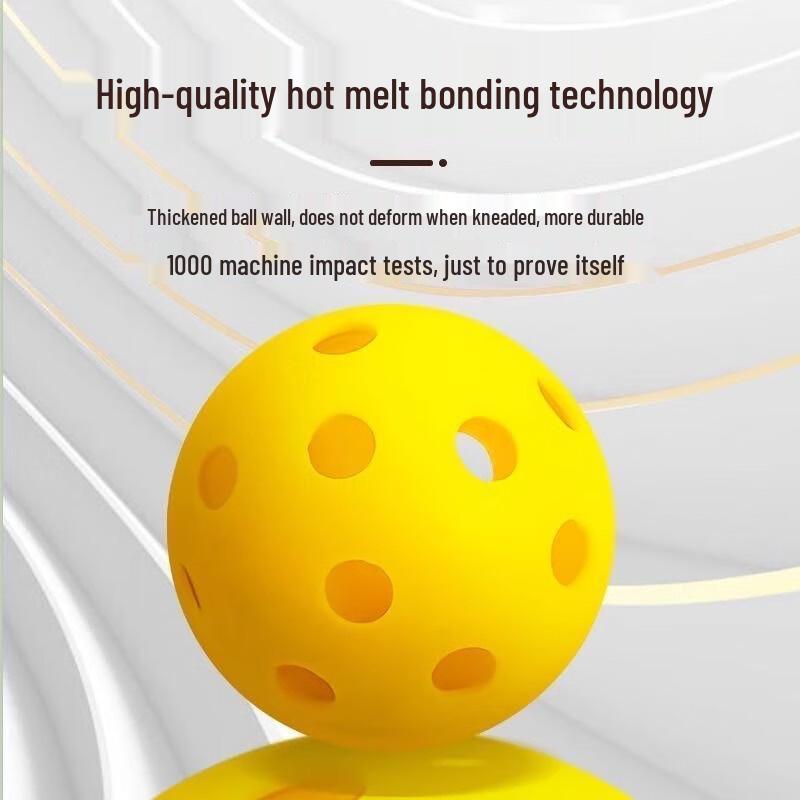 

Longchan Pickleball Indoor Training Ball