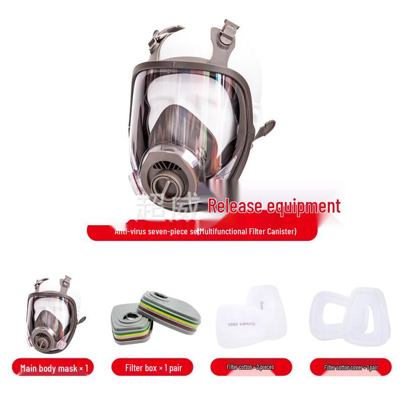 FM102B Full-Face Respirator Mask Standard
