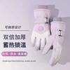 Gloves Women's Winter 2025 New Fleece Thickened Warm Cold Touch Screen Men's Windproof Ski Electric Vehicle Gloves