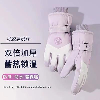 Gloves Women's Winter 2025 New Fleece Thickened Warm Cold Touch Screen Men's Windproof Ski Electric Vehicle Gloves