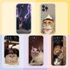Funny Cute Cat Phone Case For iPhone11,12,13,14,15,16,17,Plus,Pro,Max,Plus,Transparent Cover