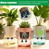 4 Piezas Puntas de Riego para Plantas en Maceta de Interior Estacas de Auto-riego Clavos de Tierra Absorbentes de Agua para Flores de Casa