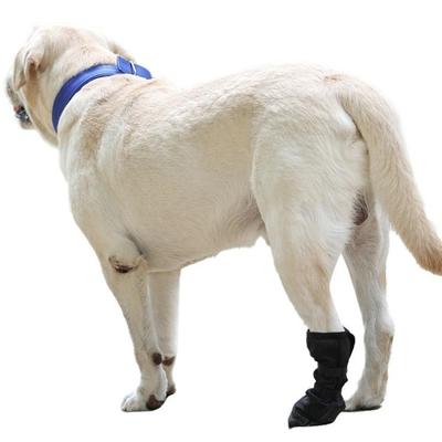 Bekleidung & Schuhe – Hundeschuhe